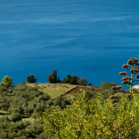 Yades Αθάνι